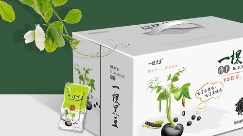 即食豆干包裝設(shè)計(jì) 廣州專業(yè)公司的創(chuàng)新與實(shí)踐
